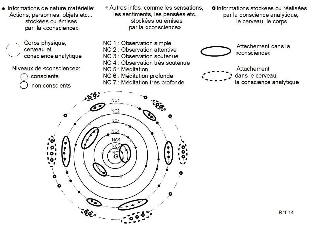 14 ref